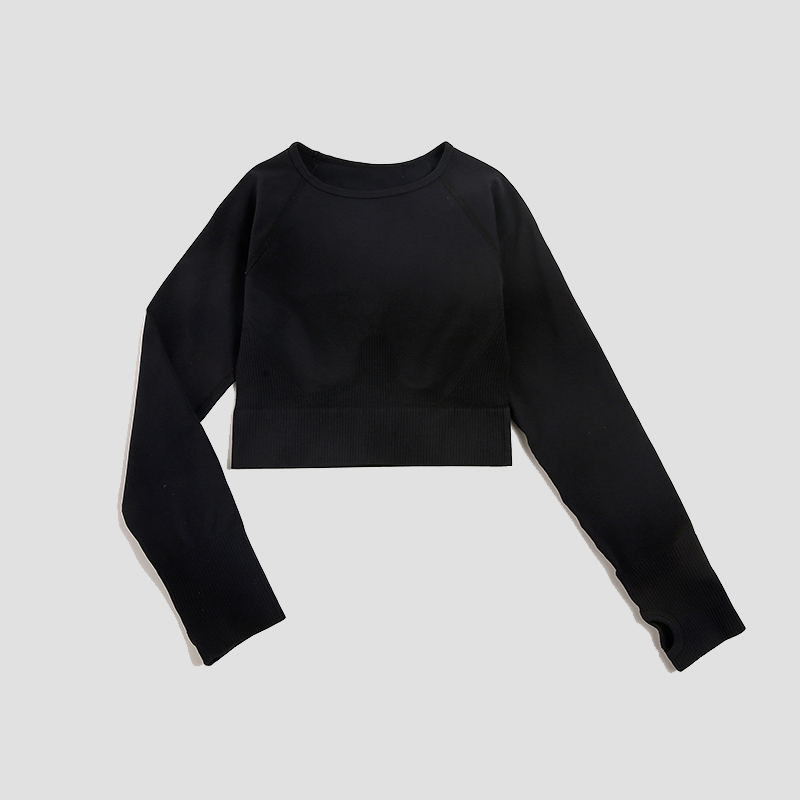 Women's Shirt Seamless Crop To - đánh giá và giá Yoga Fitness Hk