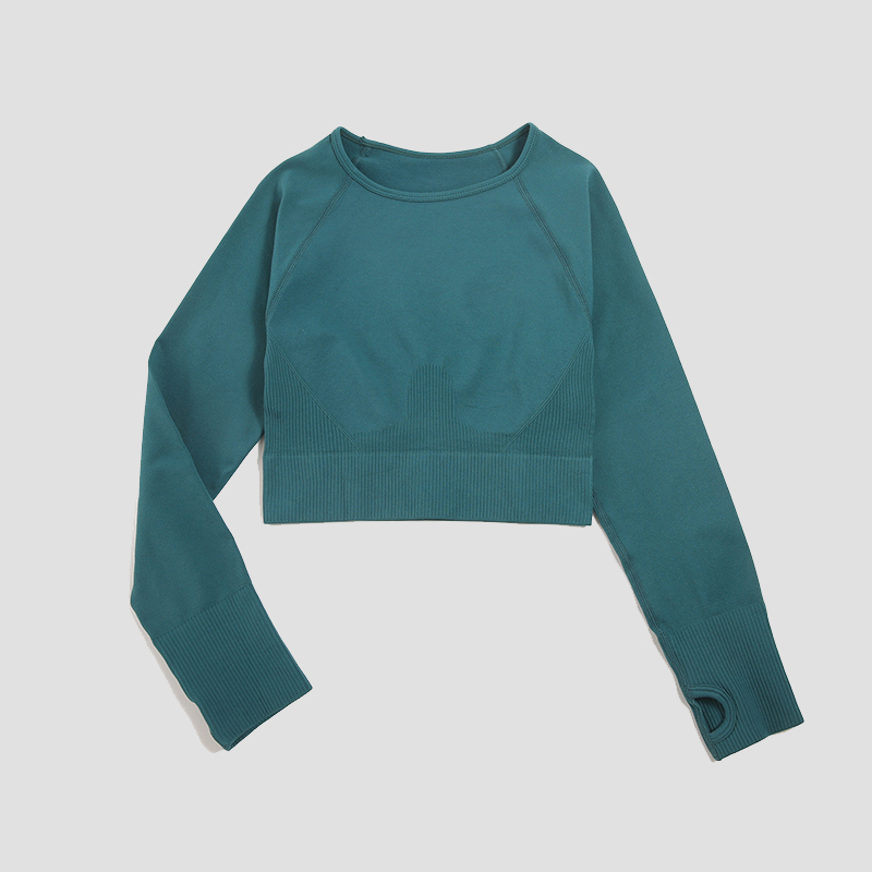 Women's Shirt Seamless Crop To - đánh giá và giá Yoga Fitness Hk