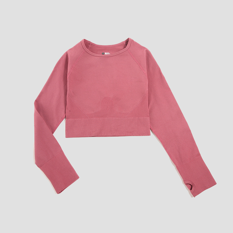 Áo Sơ Mi Nữ Liền Mạch Crop Top - đánh giá và giá Yoga Fitness Hk