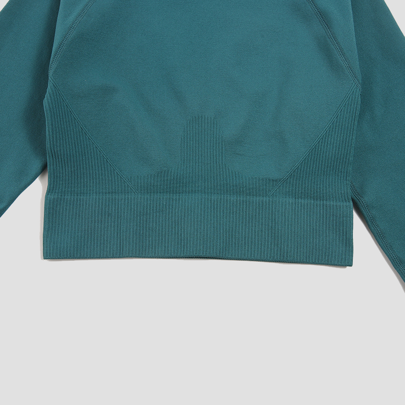 Áo Sơ Mi Nữ Liền Mạch Crop Top - đánh giá và giá Yoga Fitness Hk