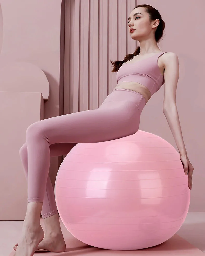Home Gym Exercise Anti-Burst S - đánh giá và giá Exercise Ball Stability